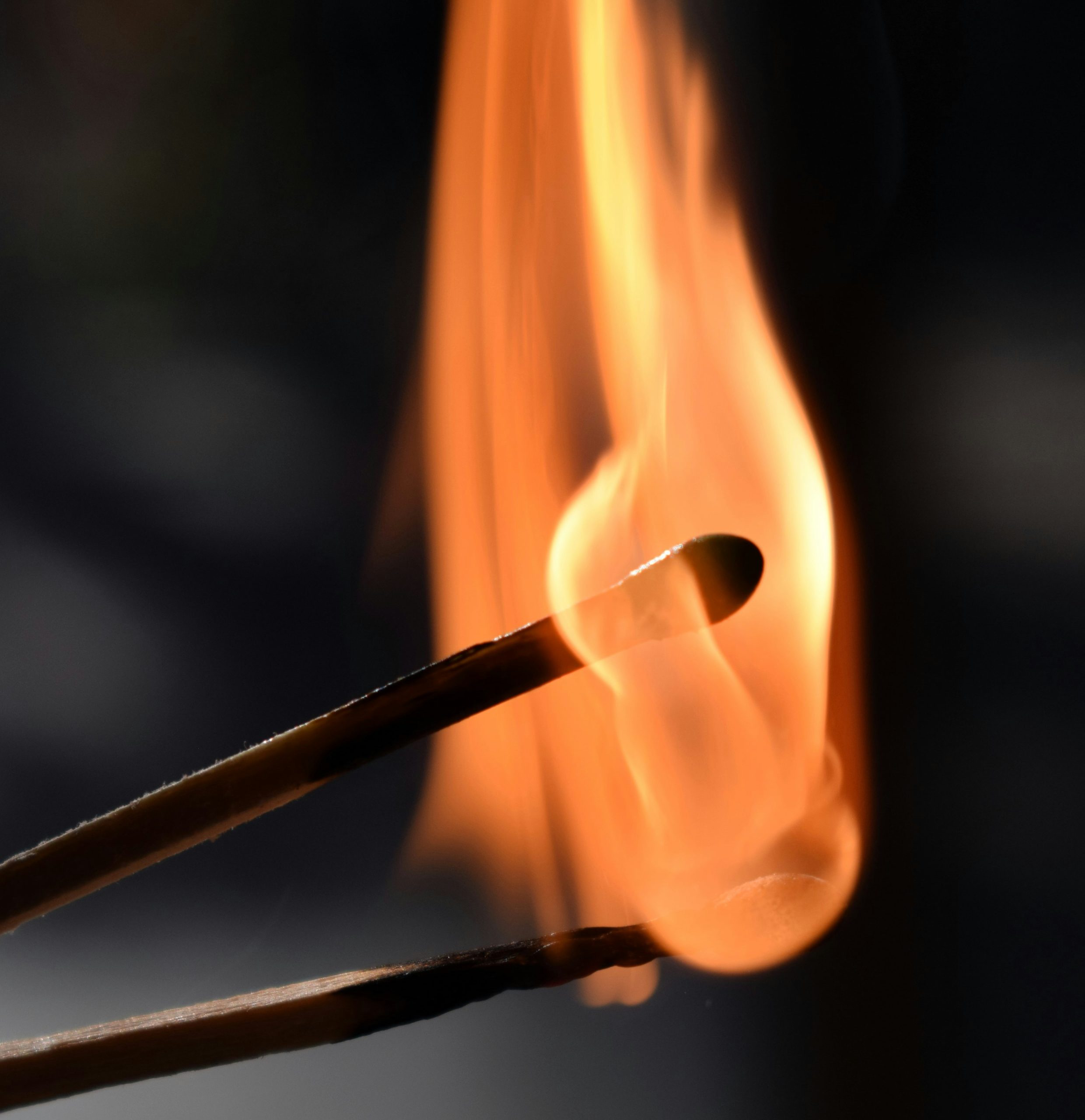 Burning match captured in macro, with bright flame symbolizing burnout and intensity.
