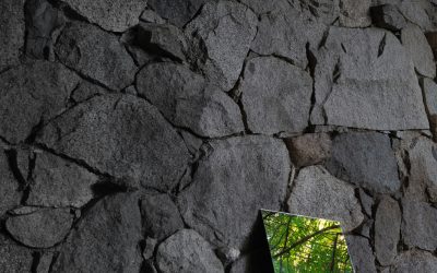 The Akary Story: How One Relationship Changed Everything